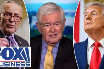 Newt Gingrich: Schumer has given Trump this potential golden opportunity