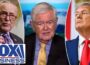 Newt Gingrich: Schumer has given Trump this potential golden opportunity
