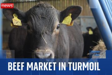 The beef market is in turmoil – and it’s affecting British farmers and consumers alike