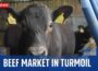 The beef market is in turmoil – and it’s affecting British farmers and consumers alike