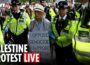 LIVE: Mass pro-Palestine protest takes place in London despite PM’s plea to ‘show respect’