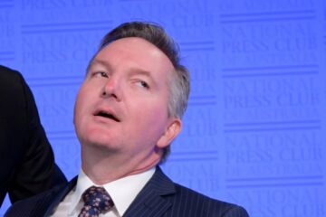 ‘Huge economic damage’: Labor’s net zero policy a ‘disaster’